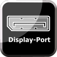 Display-Port Emblem
